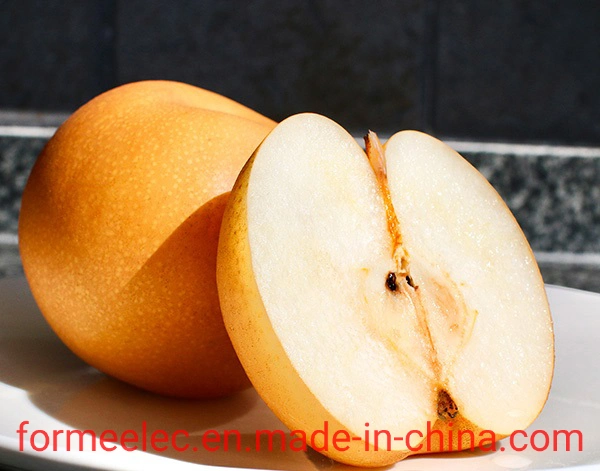 Chinese Fruit Pear Autumn Moon Pear Qiu Yue Pear Qiuyue Pear